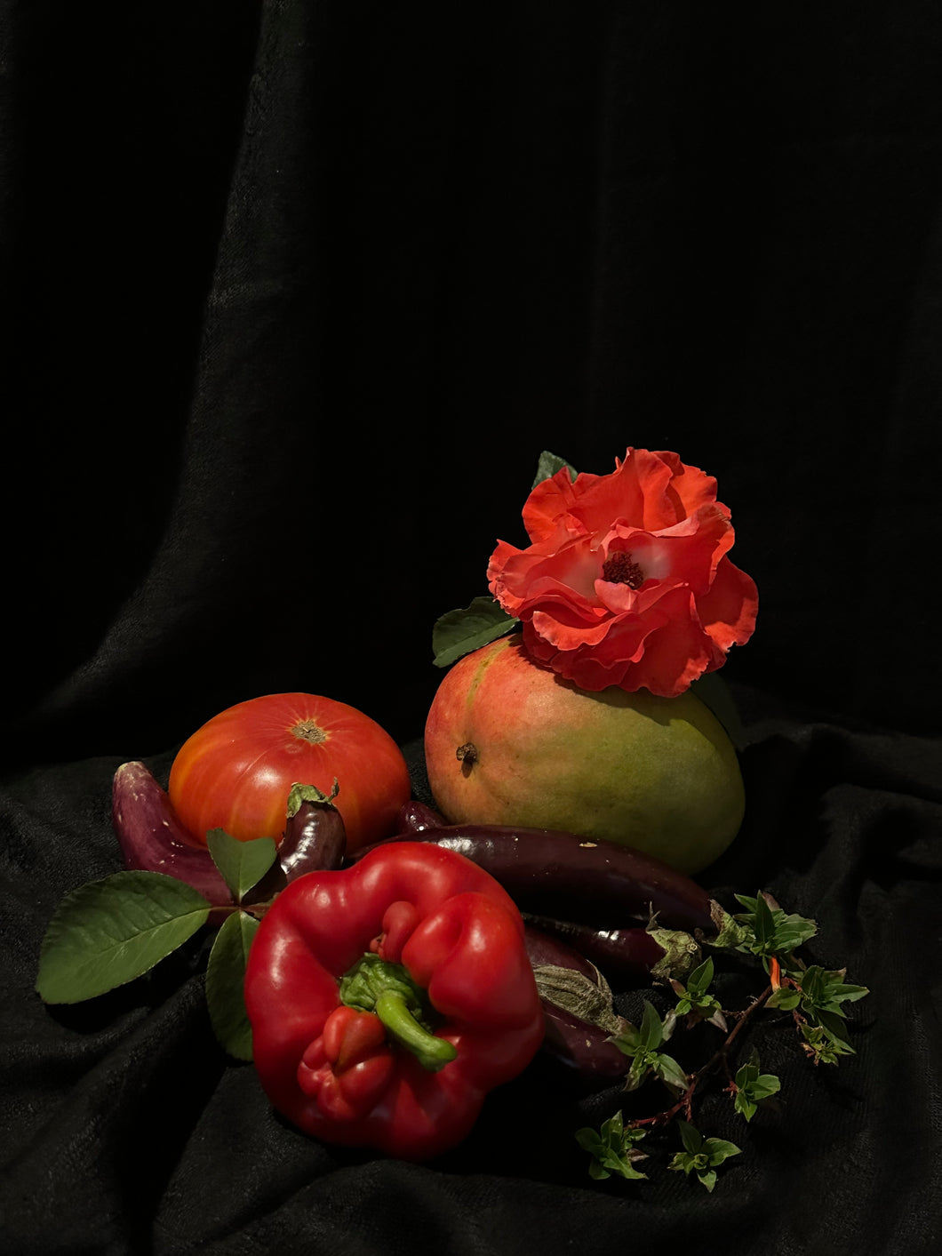 Still Life in Black and Red